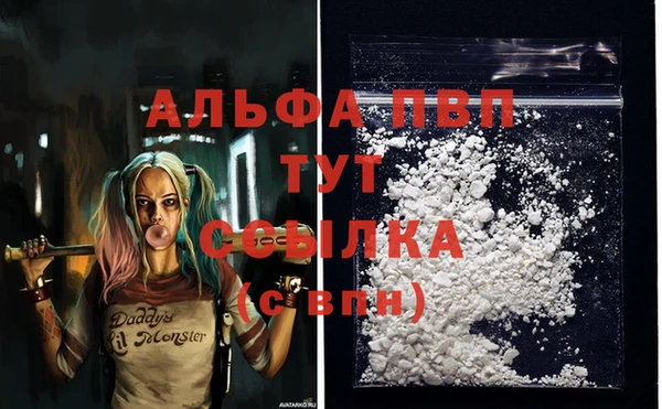 твердый Алексеевка