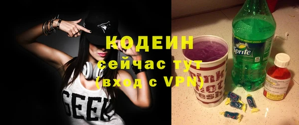 ГАЛЛЮЦИНОГЕННЫЕ ГРИБЫ Рославль