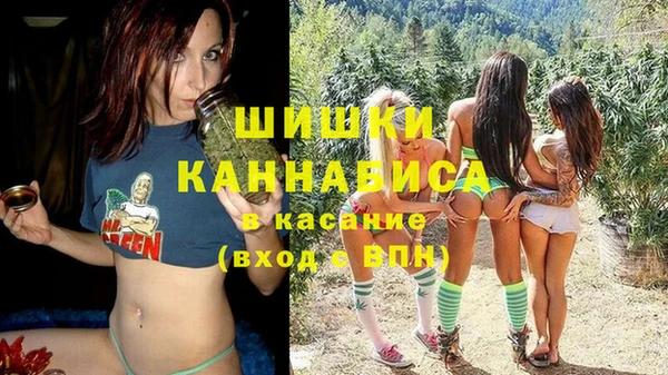 крисы Алексин