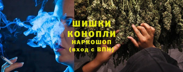 ГАЛЛЮЦИНОГЕННЫЕ ГРИБЫ Рославль