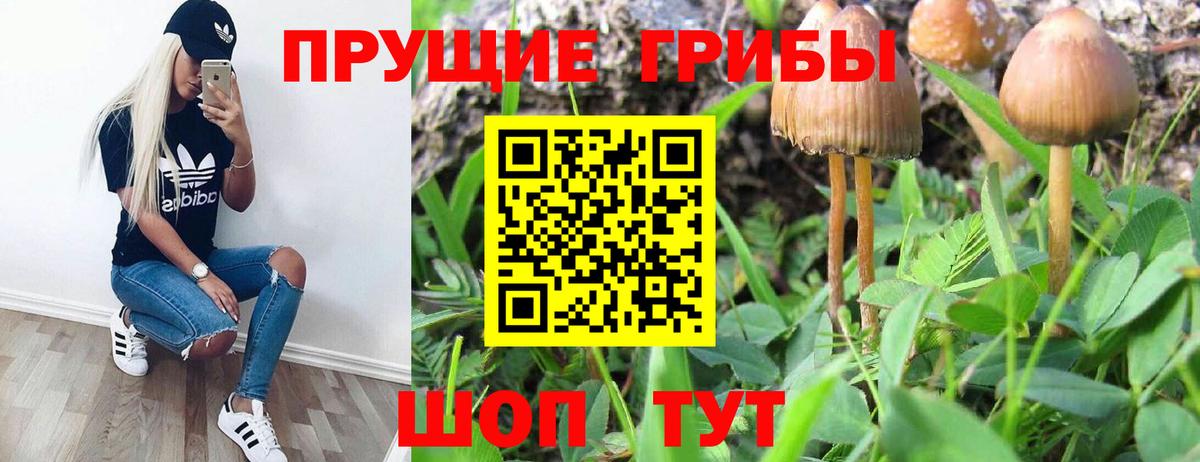 Галлюциногенные грибы Magic Shrooms  Галлюциногенные грибы MAGIC MUSHROOMS  Вход с VPN  купить наркотик  Тосно 