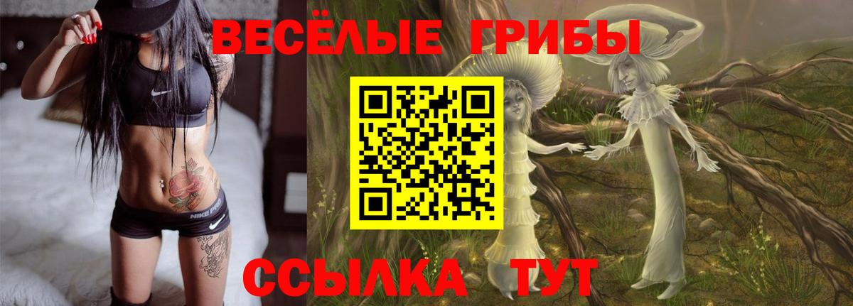 Псилоцибиновые грибы GOLDEN TEACHER Тосно