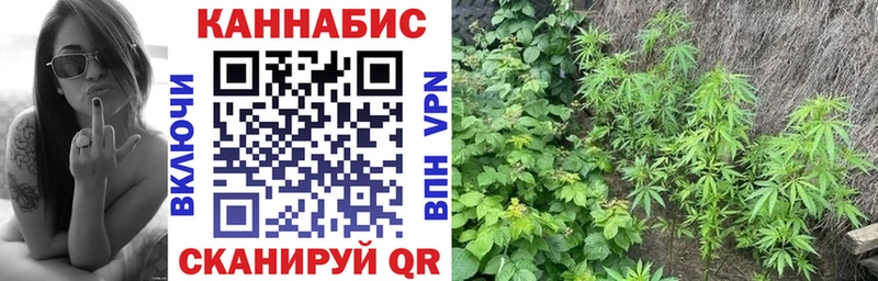 купить наркотик  Тосно  Бошки марихуана White Widow 